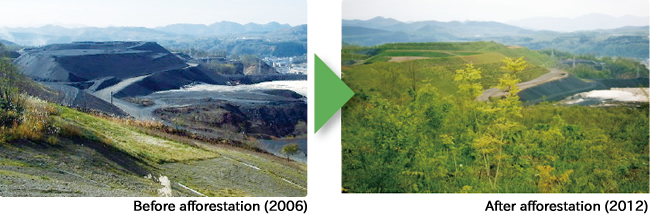 Before afforestation (2006) >> After afforestation (2012)