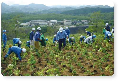 小坂製錬の社員による植樹